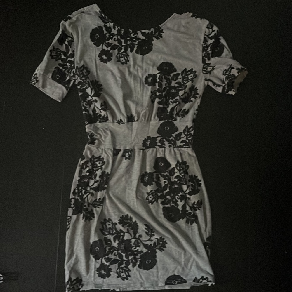 Urban Outfitters Silence and Noise Grey Floral Dress